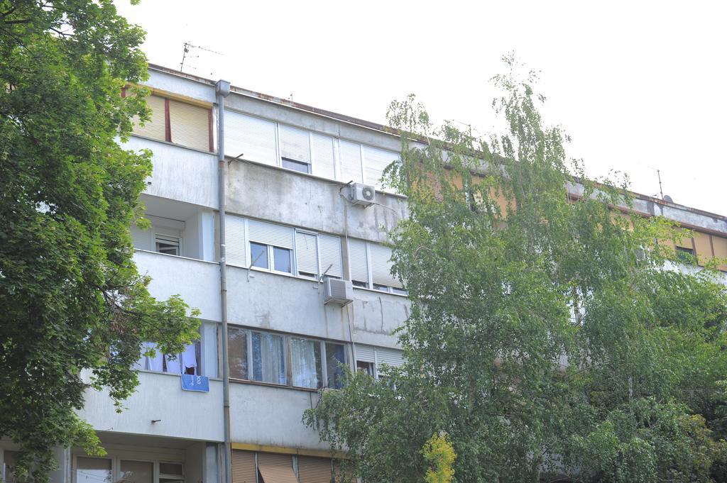 Apartment Daca Stan Belgrad Exterior foto