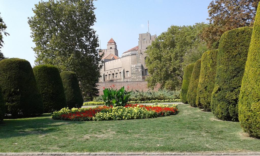 Apartment Daca Stan Belgrad Exterior foto